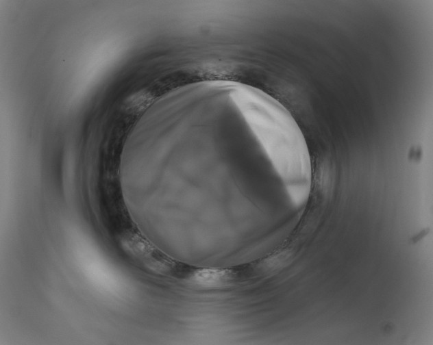 X0000111640526200908071345