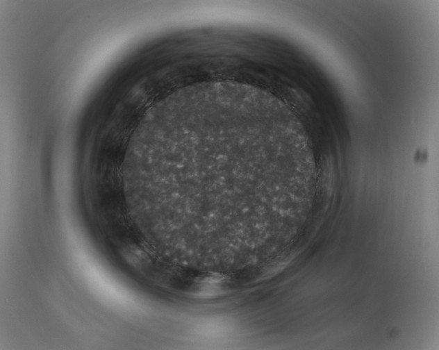 X0000111640527200908071345