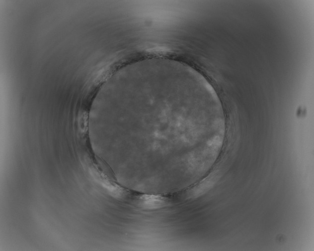 X0000111640528200908071345