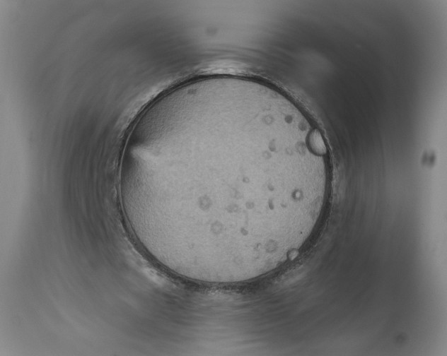 X0000111640529200908071344