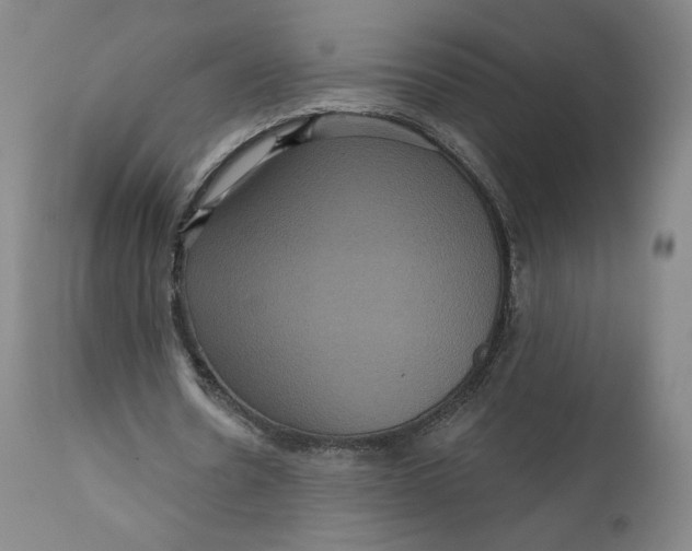 X0000111640530200908071344