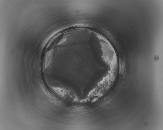 X0000111640531200908071344