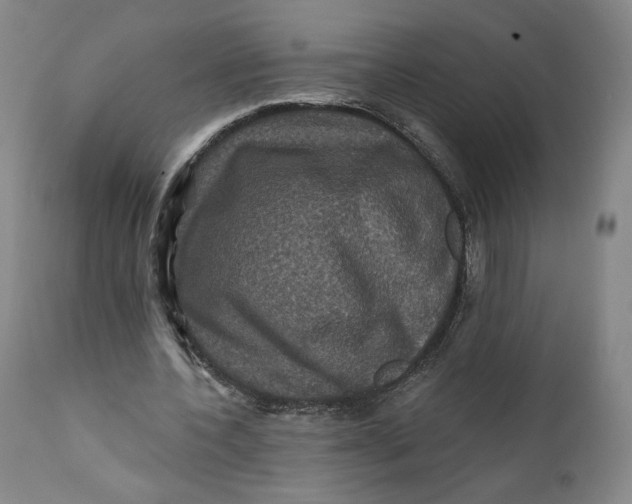 X0000111640532200908071344