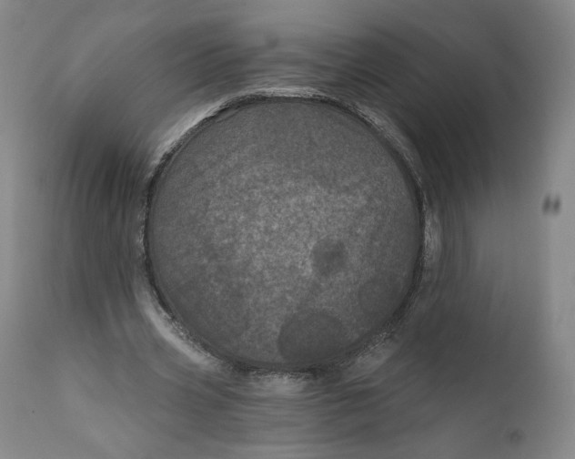 X0000111640533200908071344