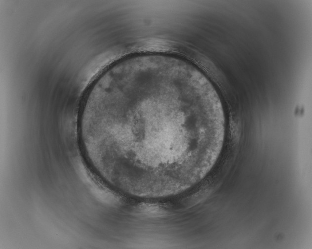 X0000111640534200908071344