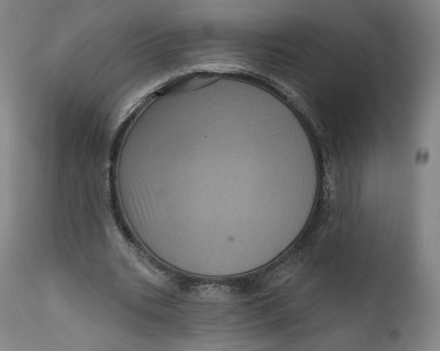 X0000111640535200908071344