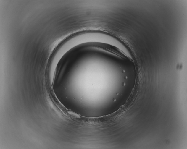 X0000111640536200908071344