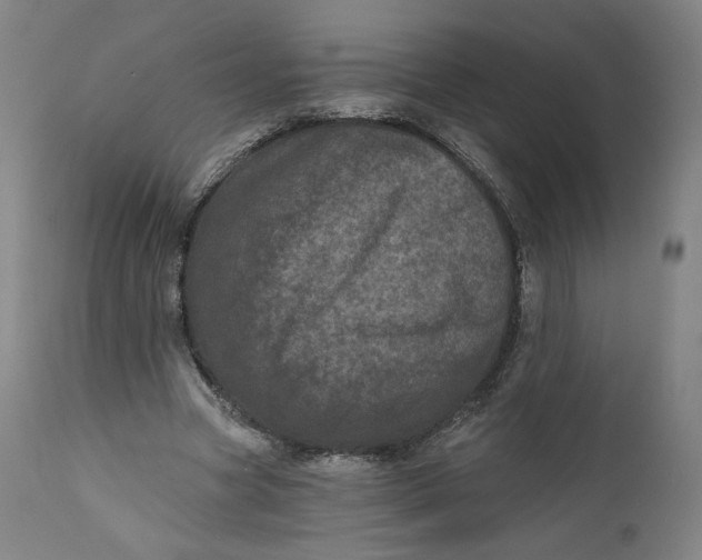 X0000111640537200908071344