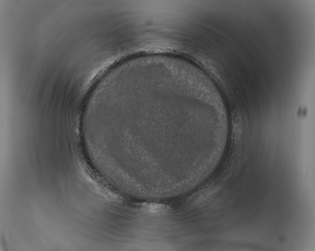 X0000111640539200908071344