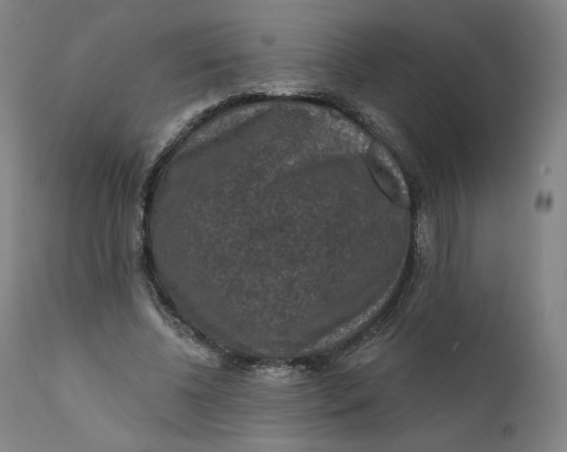 X0000111640540200908071344