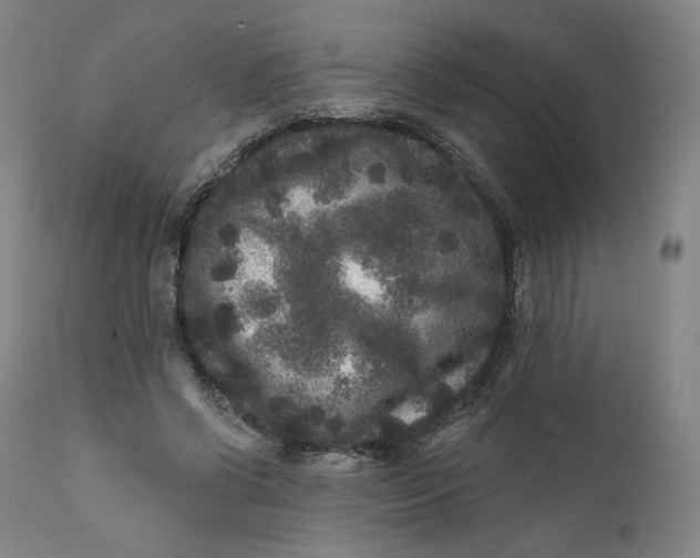 X0000111640542200908071344