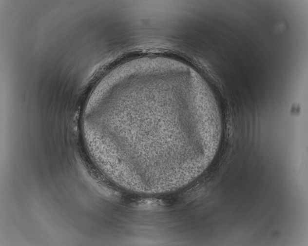 X0000111640543200908071344