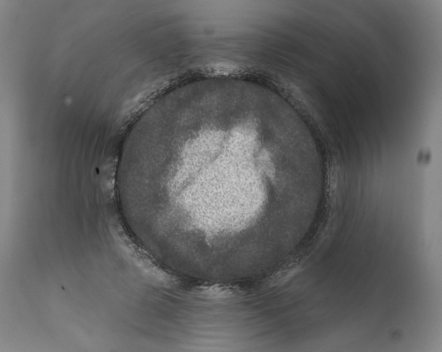 X0000111640545200908071344