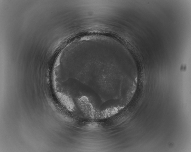 X0000111640547200908071344