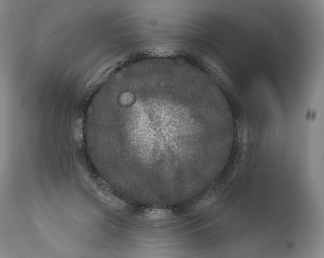 X0000111640549200908071344