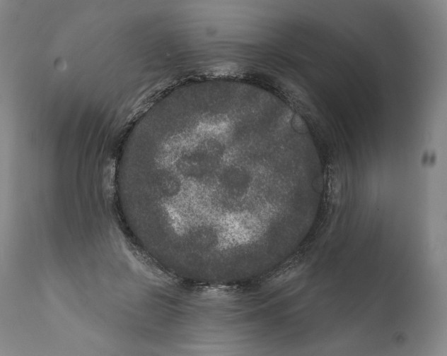 X0000111640550200908071344