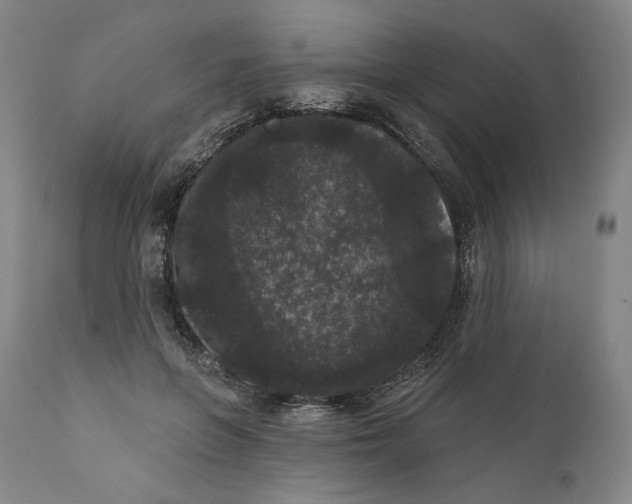 X0000111640551200908071344