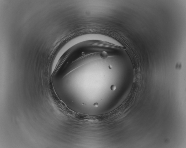 X0000111640552200908071344