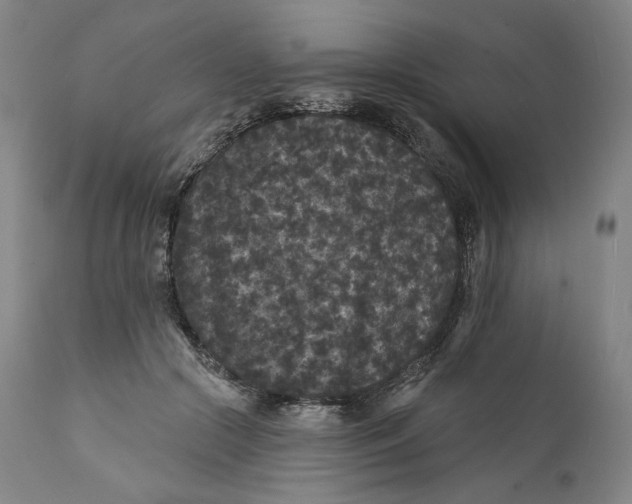 X0000111640553200908071344