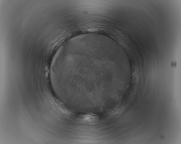 X0000111640555200908071344