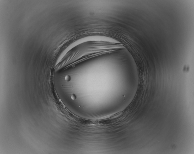 X0000111640556200908071344