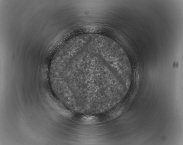 X0000111640557200908071344