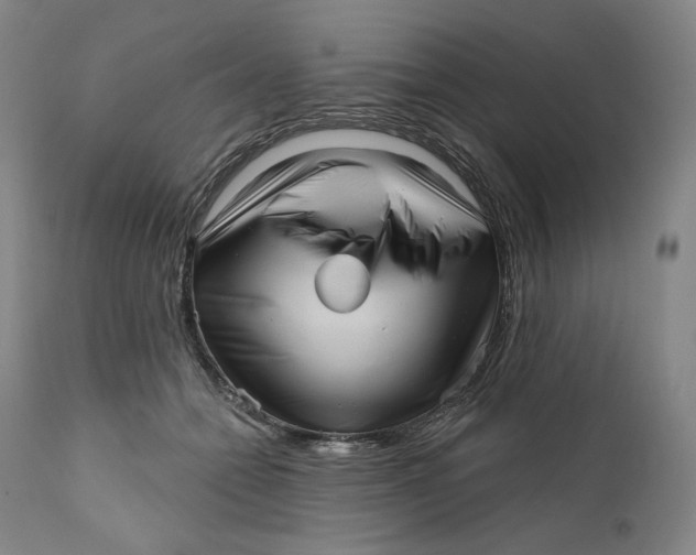 X0000111640558200908071345