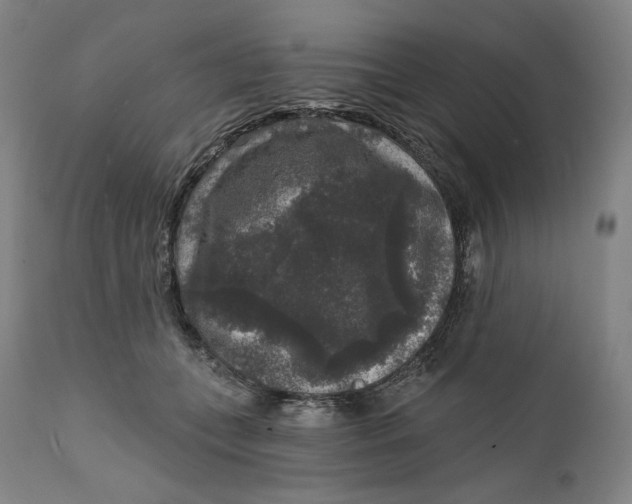 X0000111640559200908071345