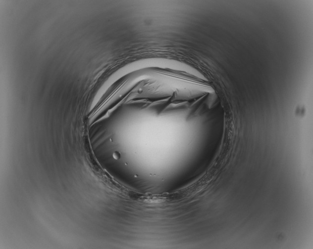 X0000111640560200908071345