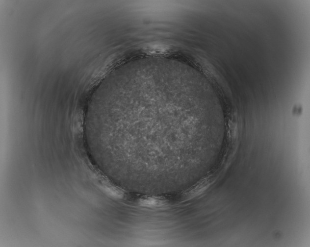 X0000111640561200908071345