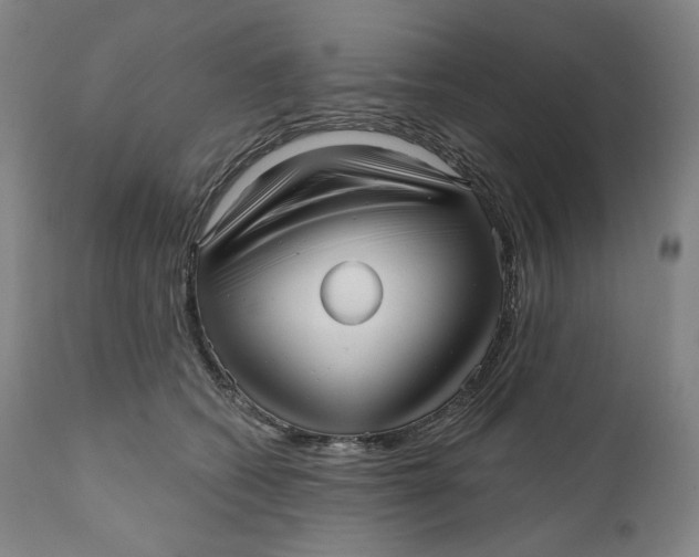 X0000111640562200908071345