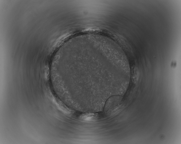 X0000111640563200908071345