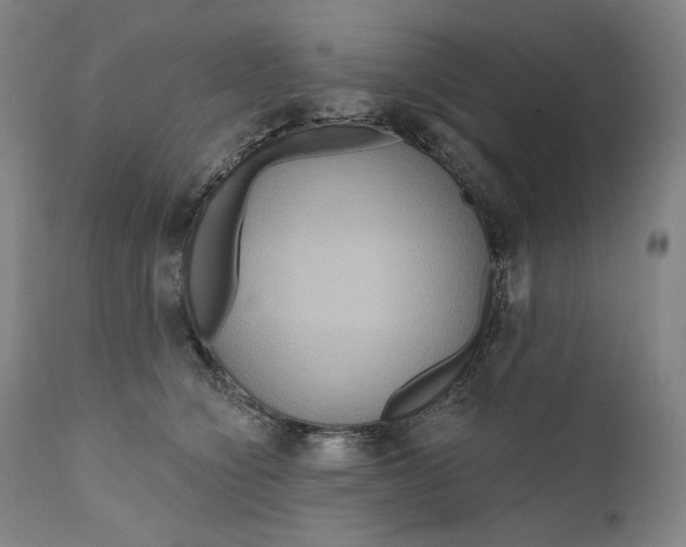 X0000111640564200908071345