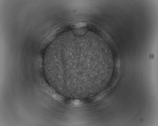 X0000111640565200908071345