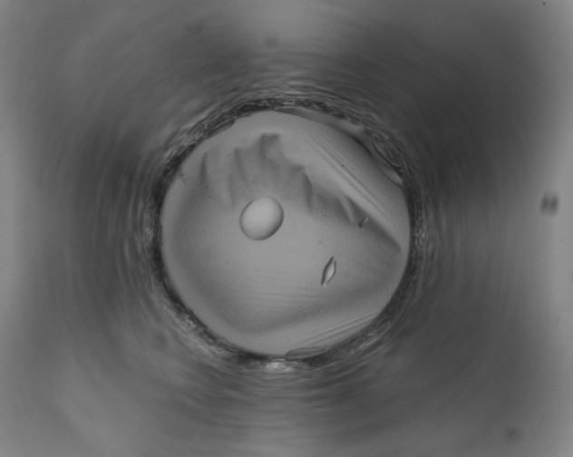 X0000111640566200908071345