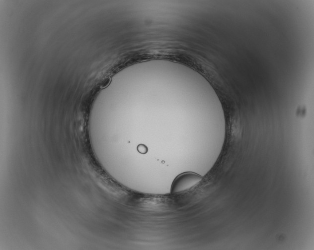 X0000111640567200908071345