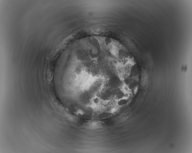 X0000111640569200908071345