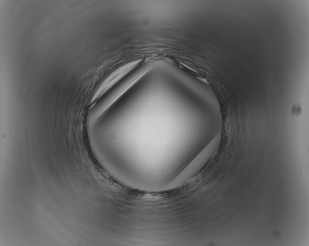 X0000111640570200908071345