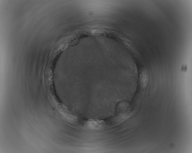 X0000111640571200908071345