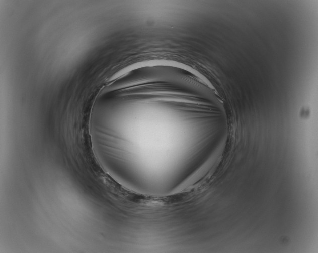 X0000111640572200908071345