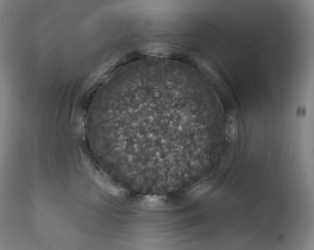 X0000111640573200908071345