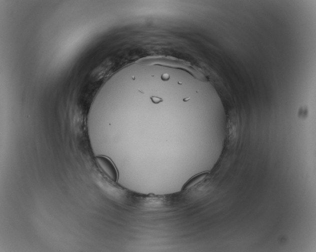 X0000111640574200908071345