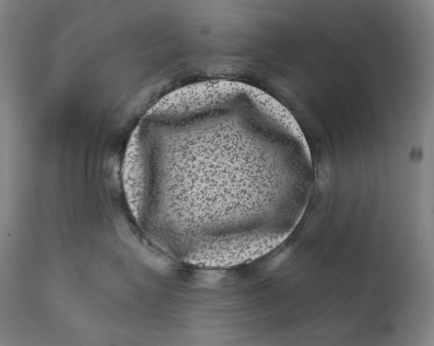 X0000111640575200908071345