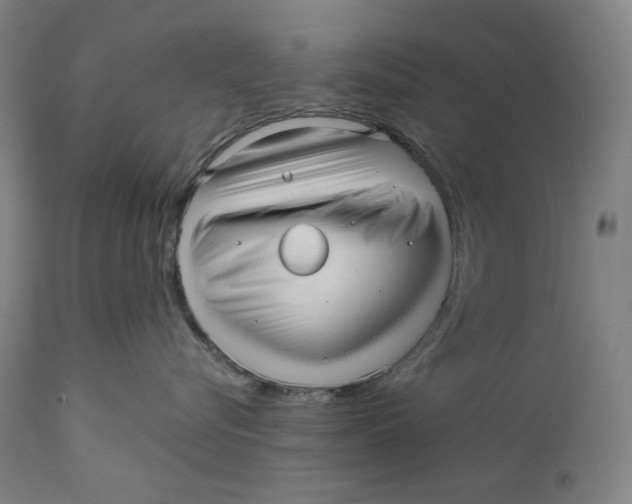 X0000111640576200908071345