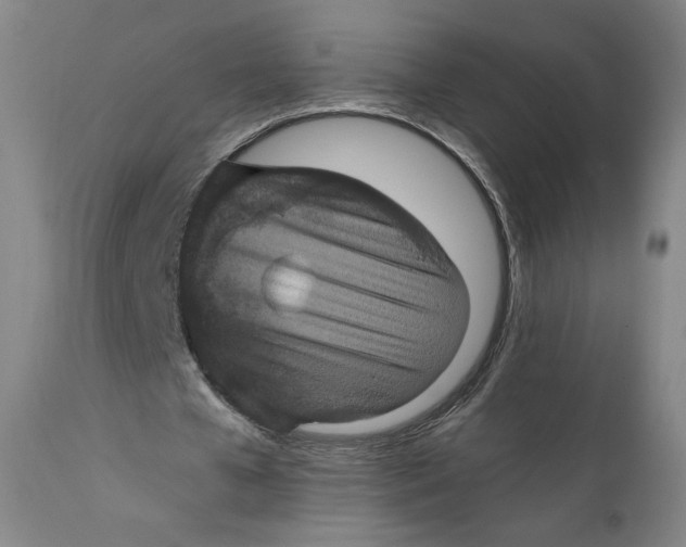 X0000111640577200908071344