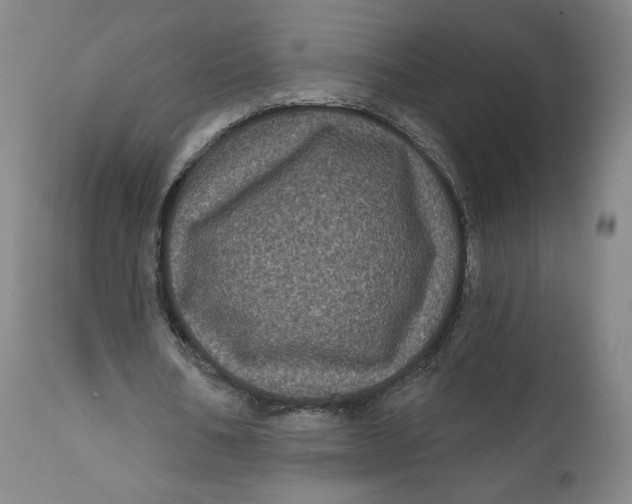 X0000111640578200908071344