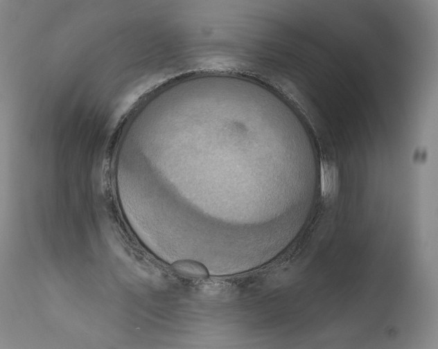 X0000111640579200908071344