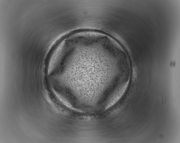 X0000111640580200908071344