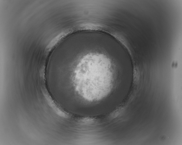 X0000111640581200908071344