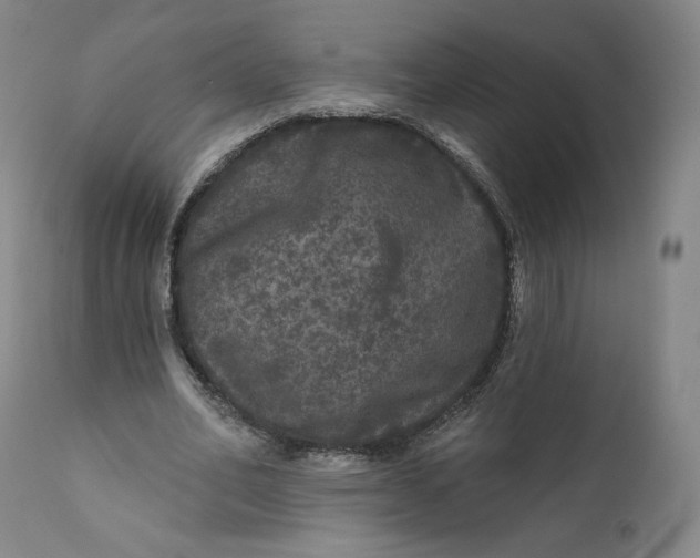 X0000111640582200908071344